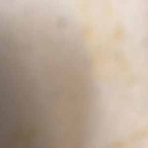 Meet your Posher, Clara